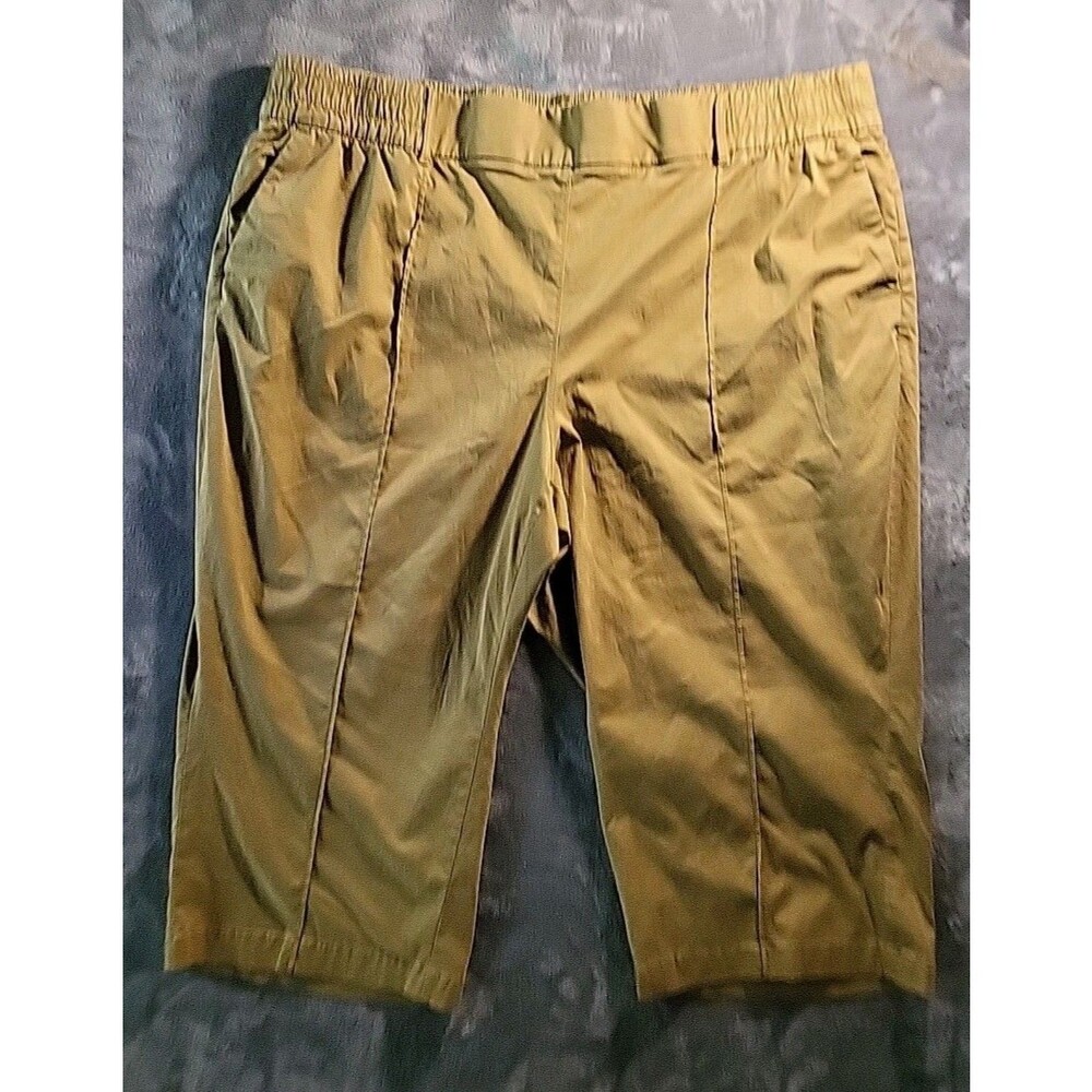 Lane Bryant Pants Womens Size 26p Camel Pull On